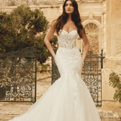 A bride showcasing a stunning mermaid wedding dress with intricate lace details, posing gracefully outdoors near a decorative gate. Perfect inspiration for a wedding dress style guide, this look highlights bridal personality styles and unique wedding gowns for your special day.