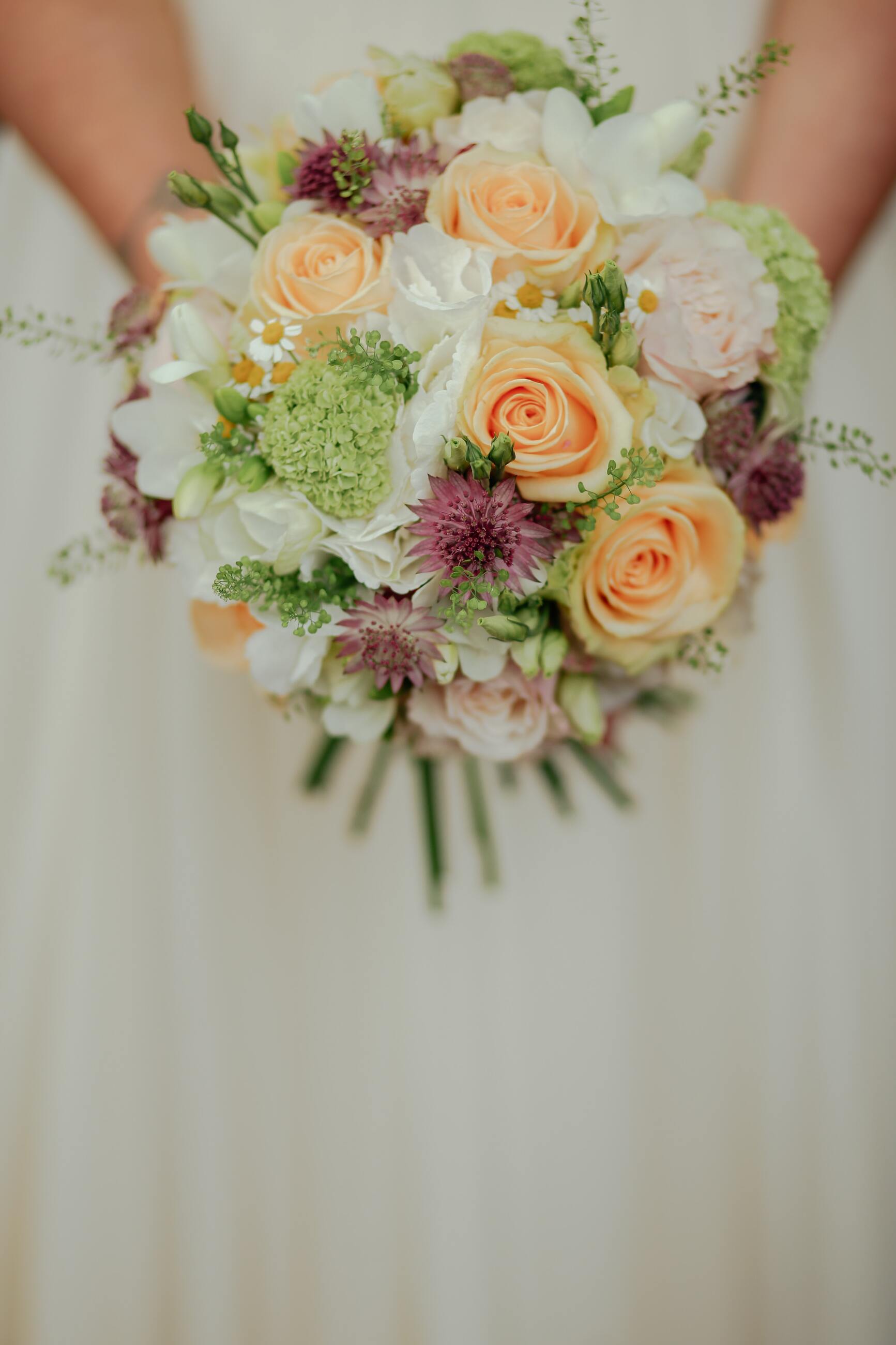 Wedding Dress Journey Image