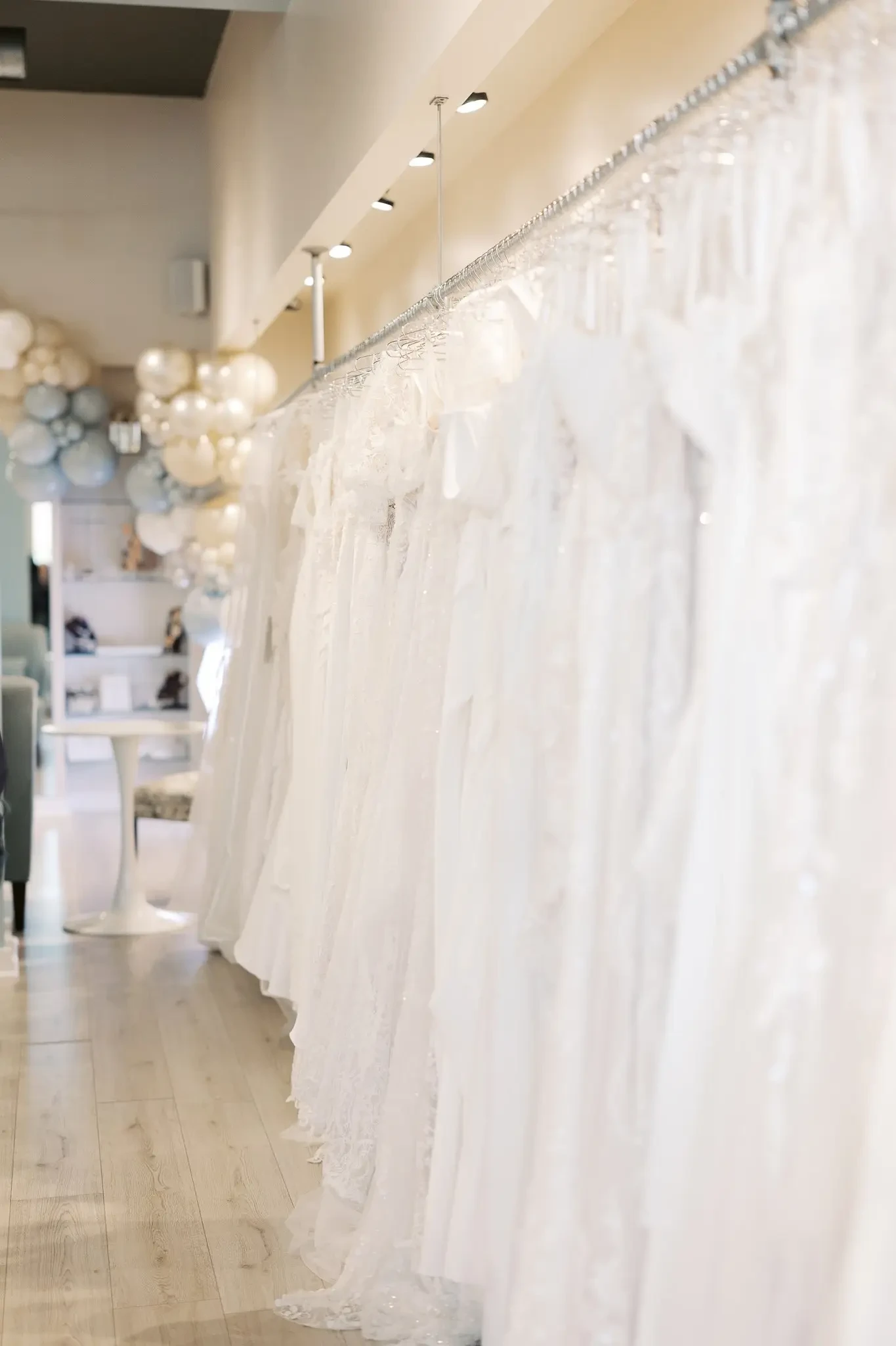 dresses at belle amour bridal in toledo ohio