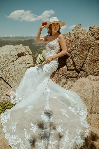 Essense of Australia  Style #D3407 #2 default (IVIV-PL) Ivory Lace & Tulle ov Ivory Gown w Porcelain Tulle Illusion thumbnail