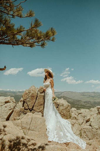 Essense of Australia  Style #D3407 #1 (IVIV-PL) Ivory Lace & Tulle ov Ivory Gown w Porcelain Tulle Illusion thumbnail