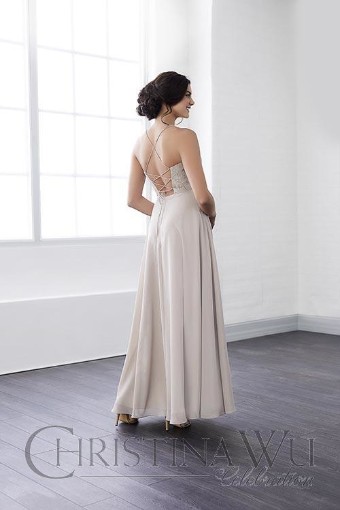 Christina Wu Celebration Style #22807 #1 thumbnail
